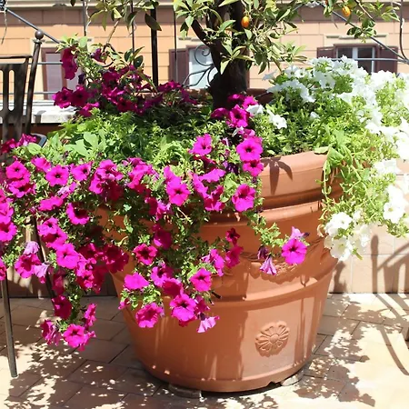 Dei Consoli Vaticano Отель Рим