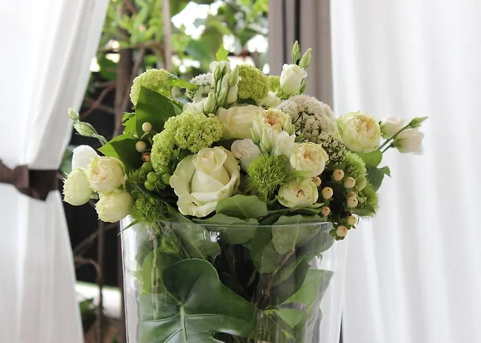 Hotel Dei Consoli Vaticano Roma