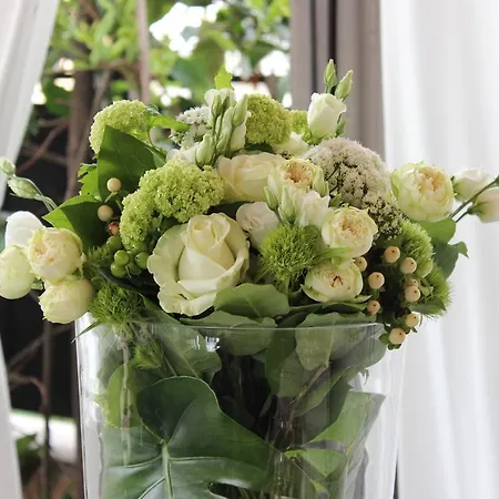 Ξενοδοχείο Dei Consoli Vaticano Ρώμη