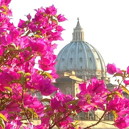 Dei Consoli Vaticano Hotell 4*